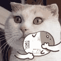 Meow Meow Star Acres to earth emoji