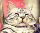 18 I know you’re being cute! cat emoticons for twitter