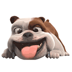 14 Rio 2 Funny animal emoji gifs images downloaded