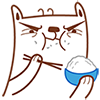 16 I am a stupid cat chat emoji emotional expression images downloaded