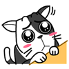 15 Pretending cute anime gifs of black and white cat emoji download