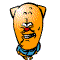 29 Funny orange emoji gifs Download