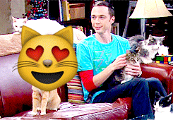 8 Funny Sheldon Face (The Big Bang Theory) Emoji Gifs Emoticons Free Download