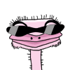 8 Funny ostrich emoticon_ emoji gifs free download