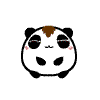13 Cute angel panda emoji gifs Emoticons Animoji