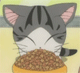 30 Cute cartoon cheese cat emoticons gif iPhone 8 emoji free download