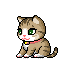57 Cute little cat Emoticons Gif iPhone Emoji Free Download Animoji