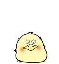 10 Cute chick Emoji Gif iPhone X Android Emoticons Animoji