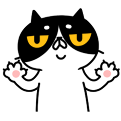 16 Super Happy Kitty Chat Gif Expression – 🔥100000+ 😝 Funny Gif Emoji  Emoticons Box 😘 Free Download 👍