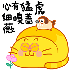16 Yolk Cat Emoji Gif Free Download
